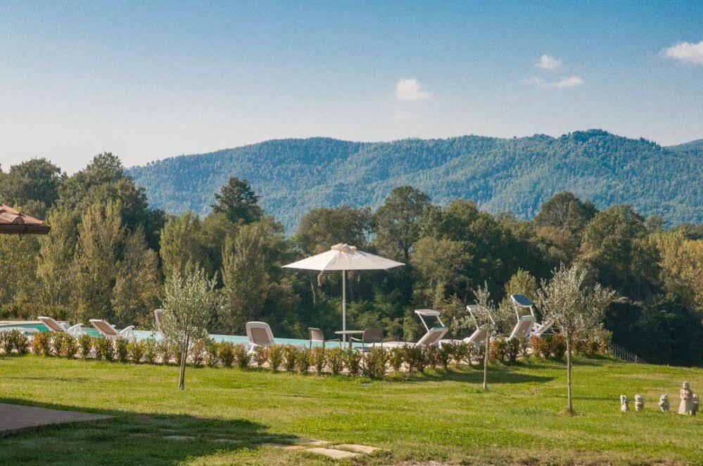 Agriturismo La Collina Del Sole Coltavolino Buitenkant foto