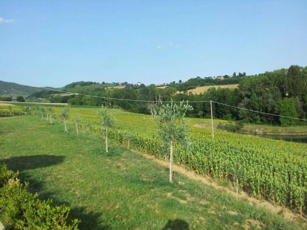 Agriturismo La Collina Del Sole Coltavolino Buitenkant foto